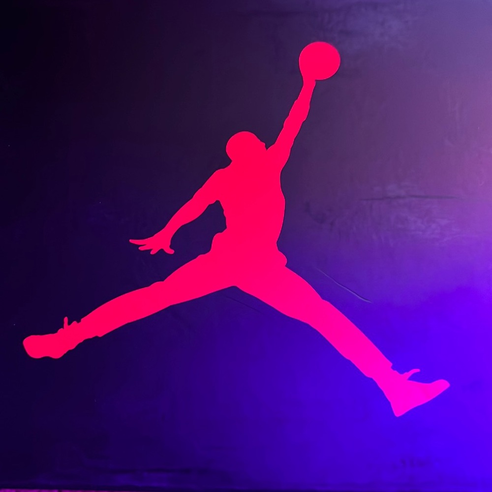 Air Jordan retro 3s